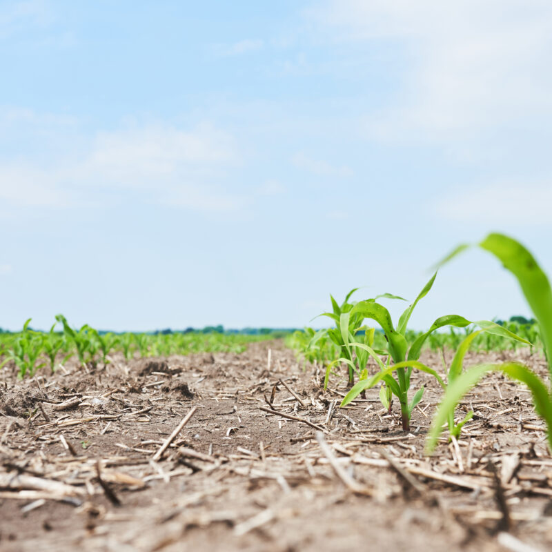 Economia brasileira inicia 2025 com desaceleração e queda no superávit comercial